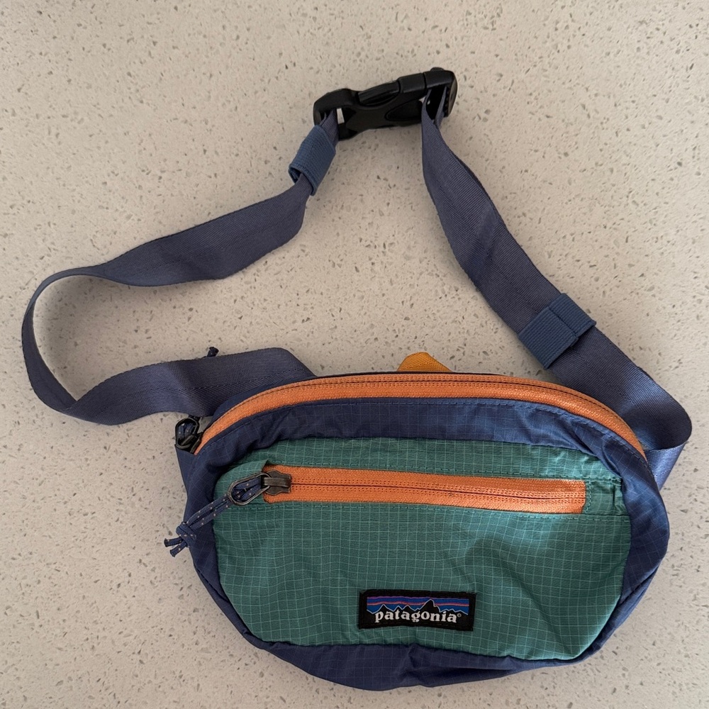 Patagonia Hip Pack